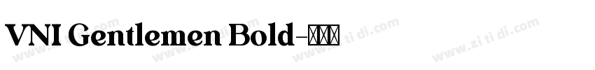 VNI Gentlemen Bold字体转换
